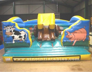 Animal inflatable combo game