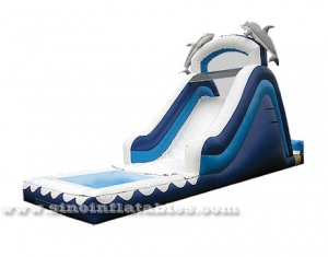  inflatable dolphin water slide with pools