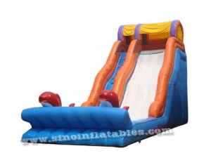 giant dolphin inflatable slide