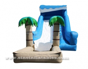 Kids cheap inflatable water slide clearance