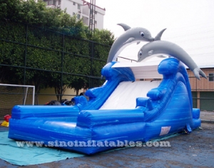 dolphin kids inflatable water slide with pool