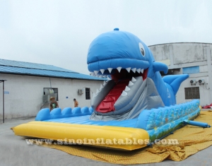 giant inflatable whale slide with mobile mouth