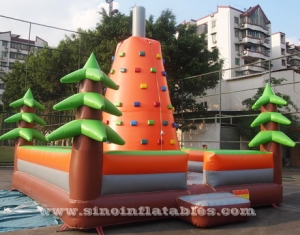 kids inflatable rock climbing wall